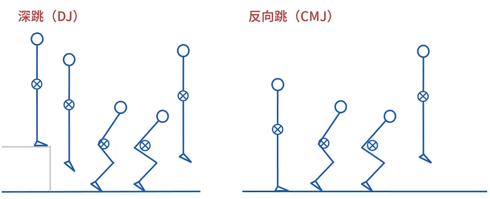 CMJ vs DJ