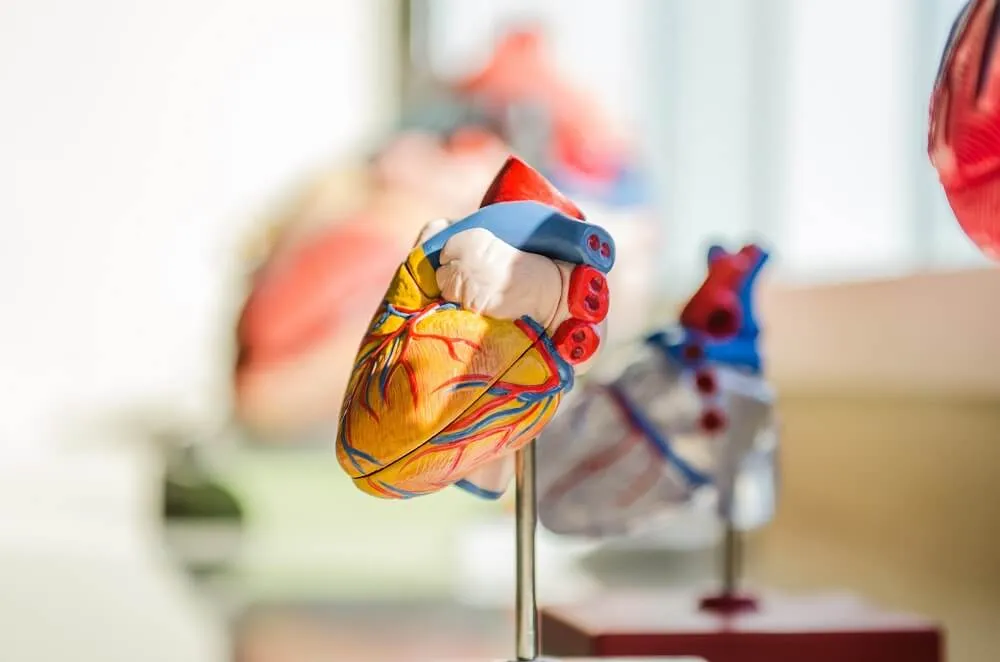 BFR heart