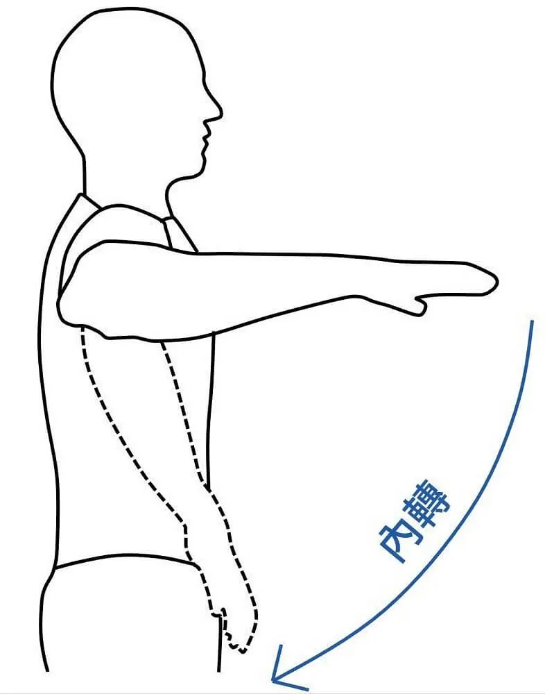 內轉動作示意圖